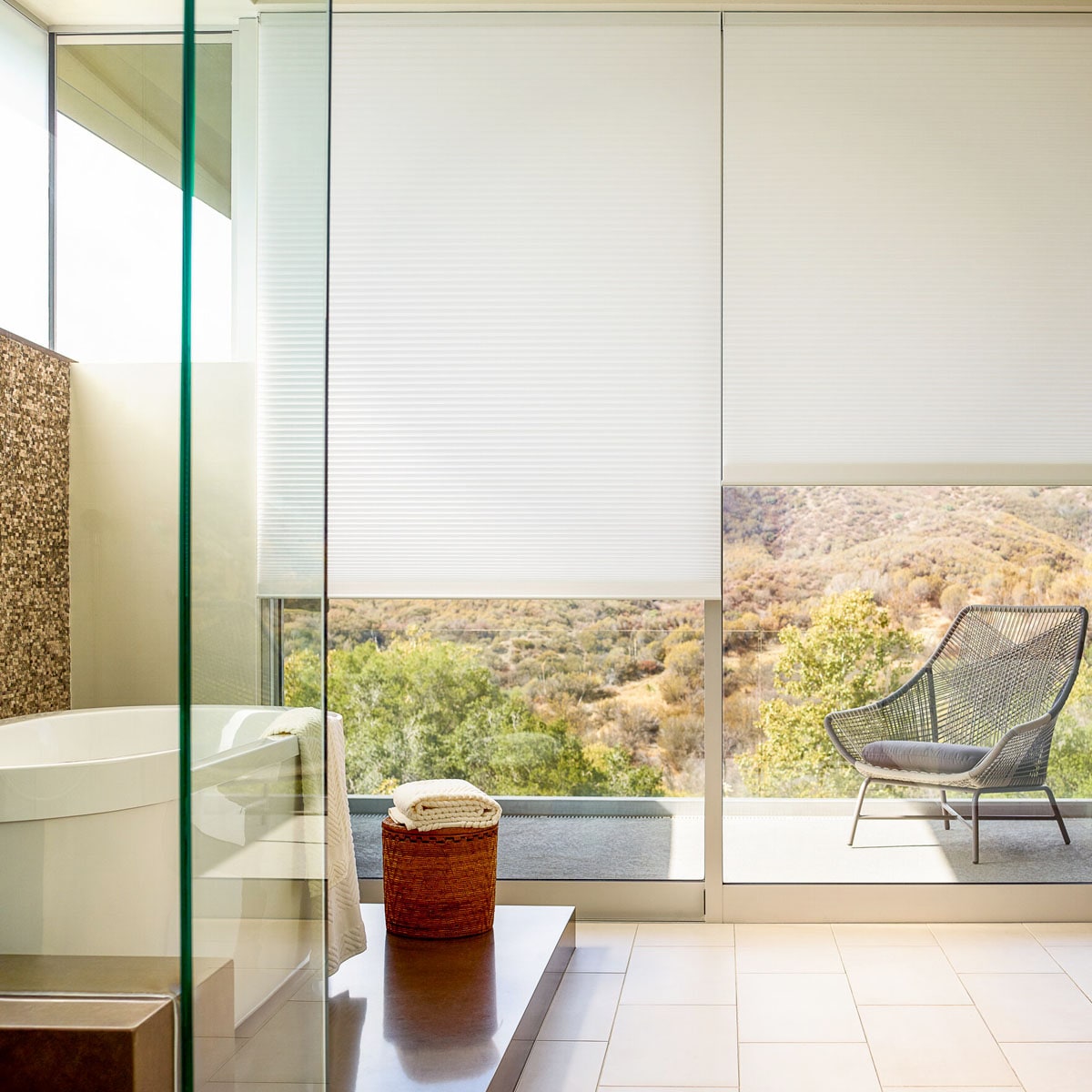 Roller shades providing privacy in a bathroom
